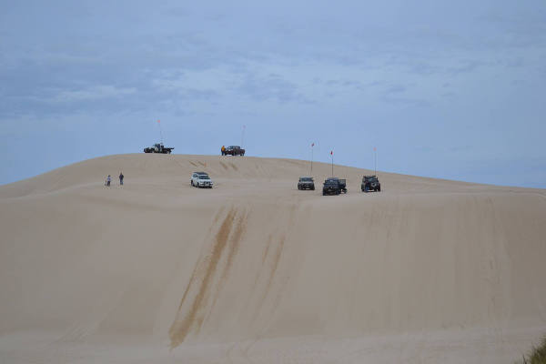 Dunes of Portland